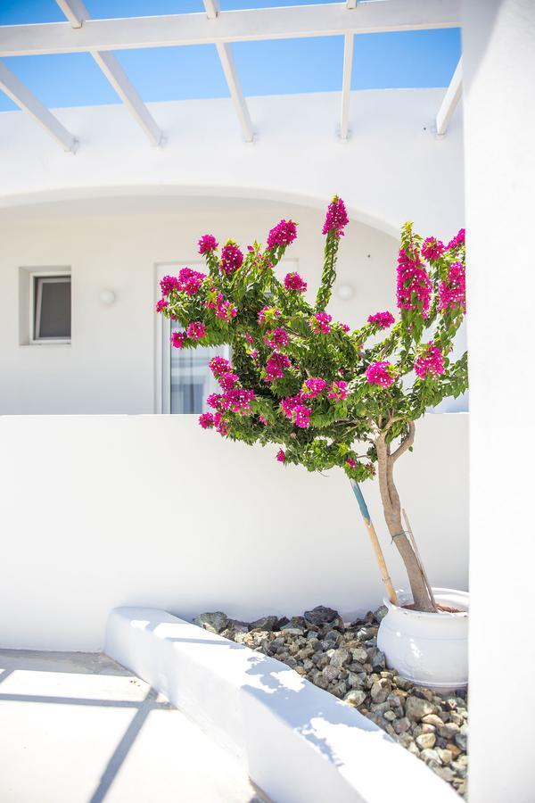 White Passion Villa Afantou Exterior photo